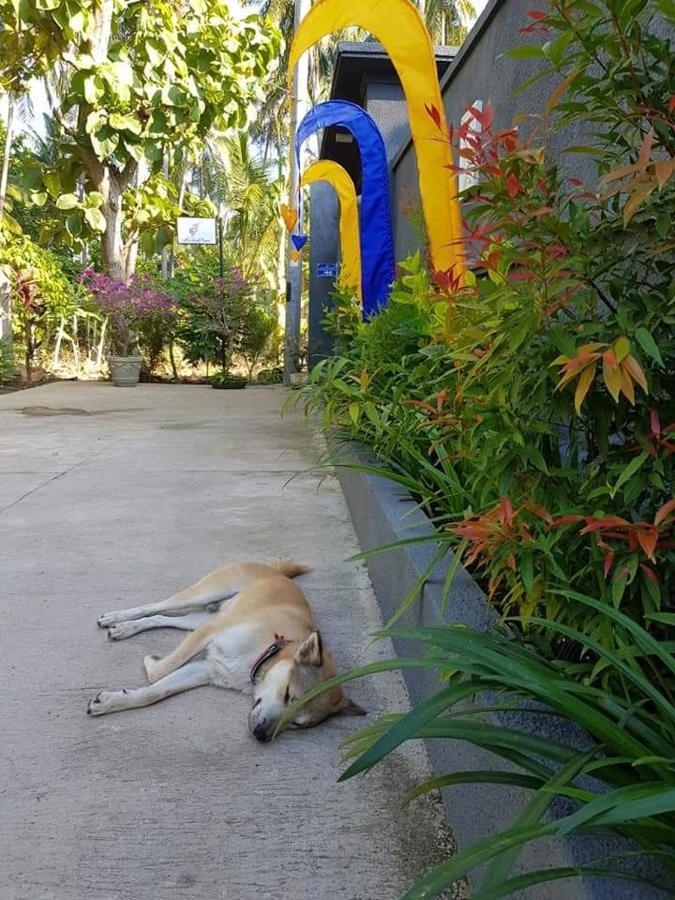 Hotel Mias Jungle House Lovina Exterior foto
