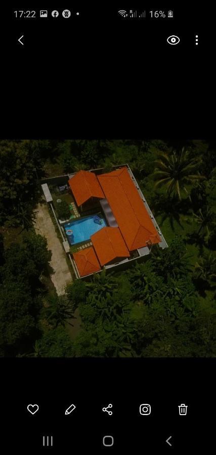 Hotel Mias Jungle House Lovina Exterior foto